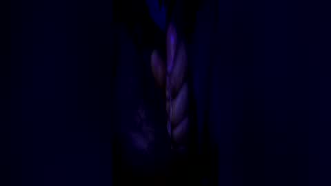 johnbruce23 online show from June 25, 11:37 am