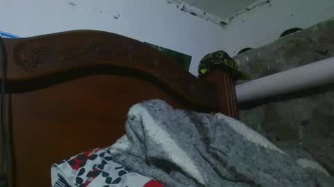 Johnny online show from December 31, 11:39 pm