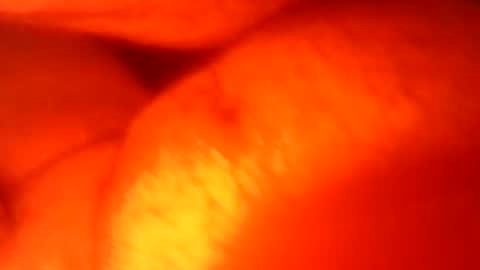 jonnyhardon1269u546045 online show from November 18, 4:48 am