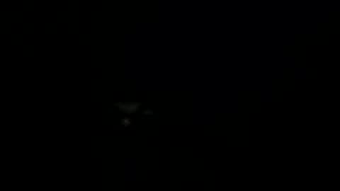 PM me online show from December 4, 9:23 am