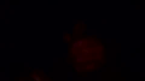 drunknhard online show from December 5, 4:59 am
