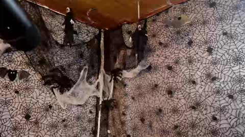 Julietta Jackson online show from October 7, 9:44 pm