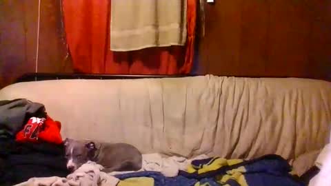 julysommers online show from April 25, 4:36 am