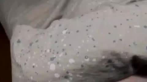 Asian office boy online show from January 6, 2:36 pm