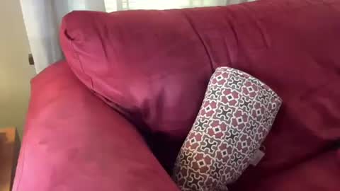 Flirty influncer online show from March 1, 6:11 pm