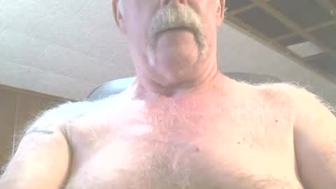 justdon online show from June 15, 2:42 pm