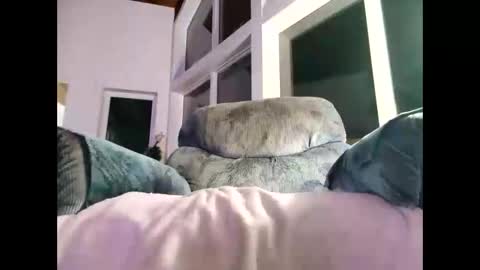 Gil indpendant model exhibitionnist online show from January 8, 1:53 am