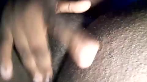 Nyla online show from November 19, 12:15 pm