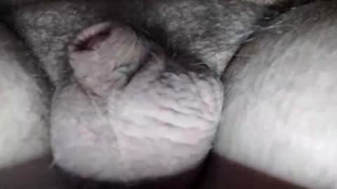 justrayin online show from December 20, 12:34 pm