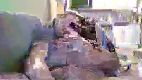 justright1 online show from February 4, 7:00 pm