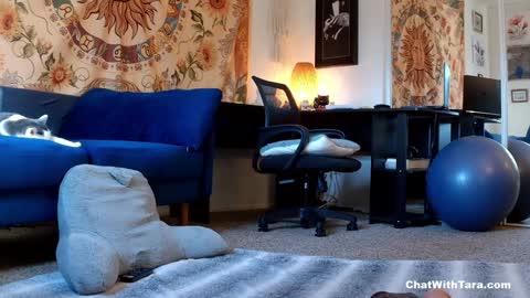 Snapshot of kalikushdreamz chatting on January 14, 10:02 pm Tara Smith online show from January 14, 10:02 pm