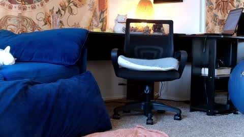 Snapshot of kalikushdreamz chatting on January 30, 6:54 pm Tara Smith online show from January 30, 6:54 pm