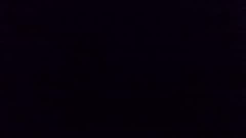 Kangarooh66 online show from December 4, 8:36 am