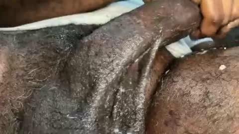 Snapshot of karadi5 chatting on December 4, 6:11 pm Snookie online show from December 4, 6:11 pm