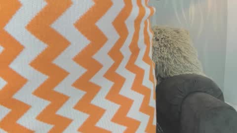 Karla online show from November 5, 8:00 pm