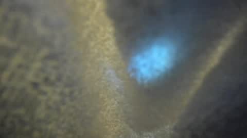 Kate  online show from April 16, 10:15 am