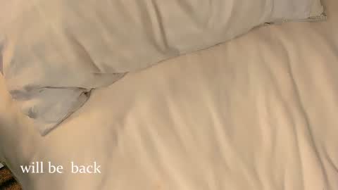 Nice to meet you  online show from February 3, 12:31 pm