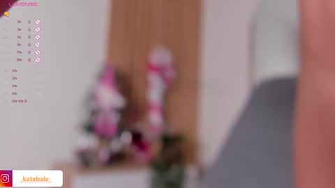 kateryn_bale online show from December 11, 1:15 am