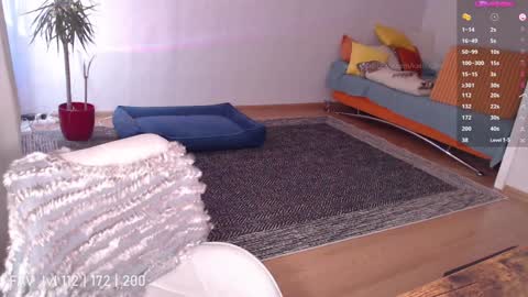 pvt open online show from February 8, 11:01 am