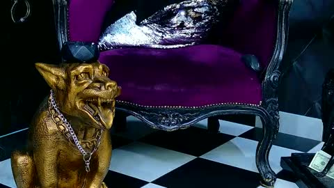 Kaya online show from March 2, 7:15 am