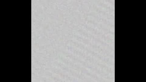 Kay Pup online show from November 19, 9:30 am