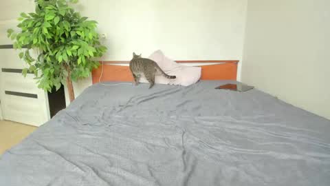 kelly_gerzikaaa online show from May 2, 3:45 am