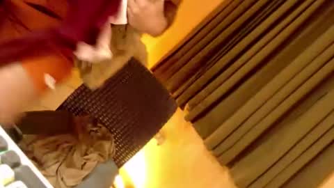 Ebony online show from September 23, 6:36 pm