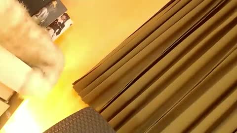 Ebony online show from October 14, 8:12 pm