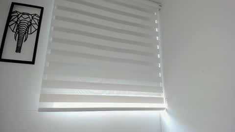 Kevin Ahs online show from February 12, 3:27 pm