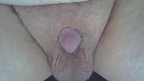 maggot online show from January 10, 1:44 am