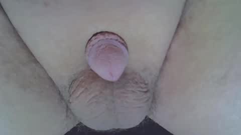 maggot online show from October 31, 7:14 pm