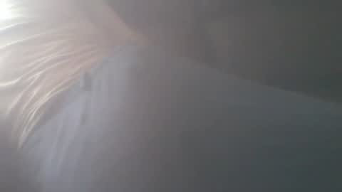 New accound cavilacion  online show from July 25, 9:13 pm