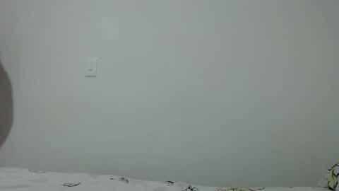 Kimmy online show from November 5, 3:47 pm