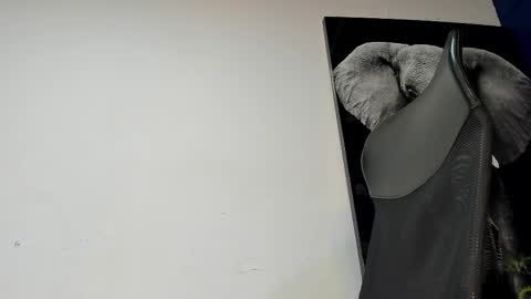 Angel Falconer online show from November 4, 2:13 am