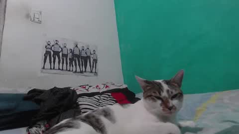 king_russo online show from October 14, 4:04 am