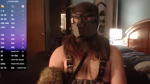 kinkywolf87 online show from February 1, 1:44 am