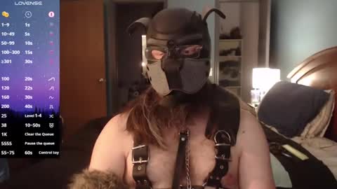 kinkywolf87 online show from February 2, 9:56 pm