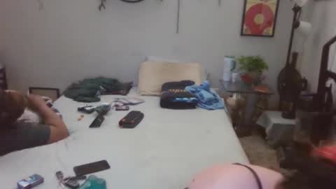 Kitten and rebellious online show from January 4, 7:03 am