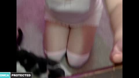 Kitty online show from January 16, 2:09 am