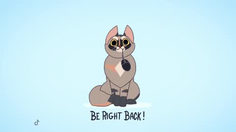 Kitty online show from February 13, 11:58 pm