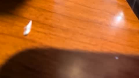 kittykat175154 online show from March 28, 11:44 am