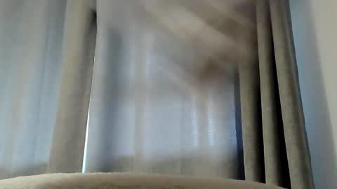 kiwibulge123 online show from March 8, 1:39 am