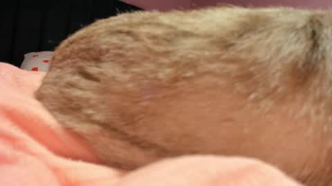 Yuna online show from April 19, 6:10 pm