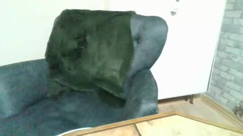 Palo313 online show from November 3, 8:32 pm