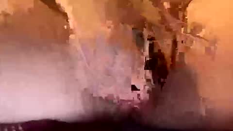 kodzukenma online show from December 2, 4:00 am