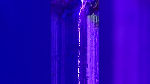 korysmith568 online show from January 17, 8:02 am