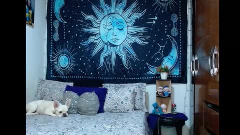 kylie online show from November 23, 10:08 pm