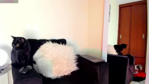 lace_victoria online show from January 7, 6:57 pm