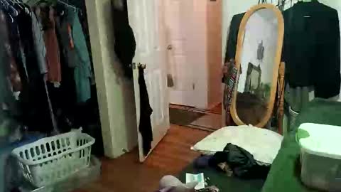 lacybell online show from February 6, 9:53 am