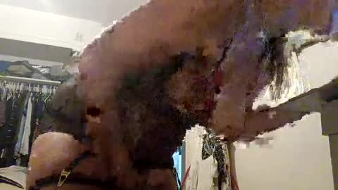 lacybell online show from September 21, 8:18 am